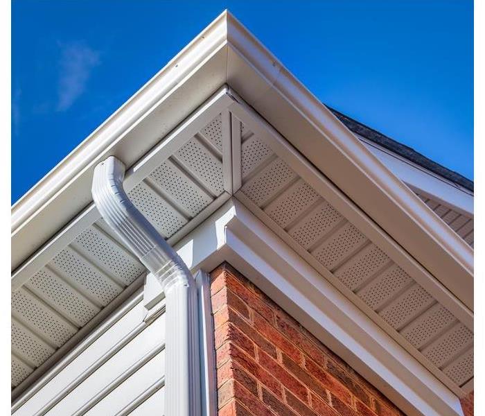 Rain gutter and downspout